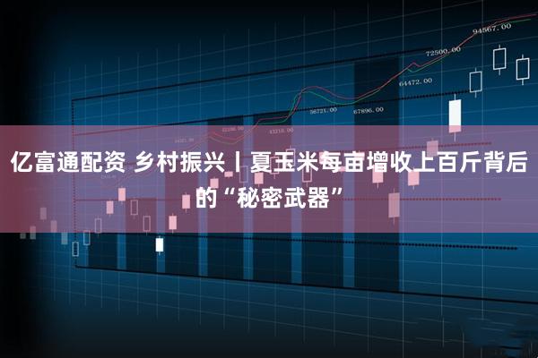 亿富通配资 乡村振兴丨夏玉米每亩增收上百斤背后的“秘密武器”