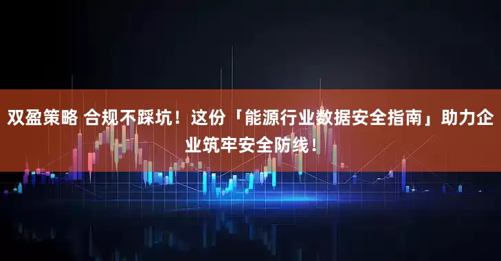 双盈策略 合规不踩坑！这份「能源行业数据安全指南」助力企业筑牢安全防线！